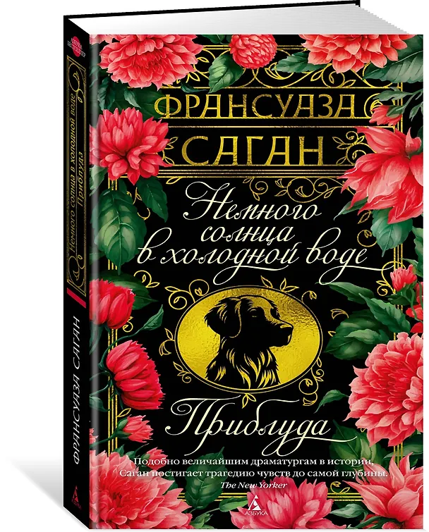 Книга Немного солнца в холодной воде. Приблуда (Франсуаза Саган) — 4
