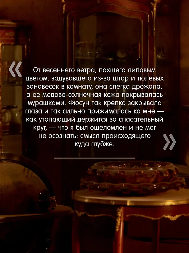 Книга Музей Невинности (Орхан Памук) — 10