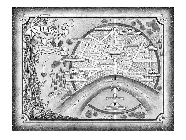 Книга Город Полумесяца. Дом Пламени и Тени (Сара Маас) — 14