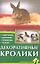 Декоративные кролики. Содержание. Кормление. Разведение. Лечение — 2313095 — 2