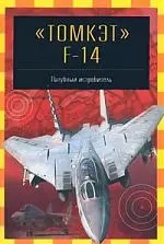 Томкэт F-14: Палубный истребитель — 1288349 — 1