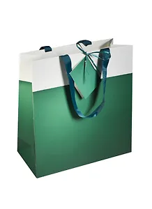 Пакет подарочный бумажный А4 28*28*10 зеленый, мат. ламинат, Хансибэг
