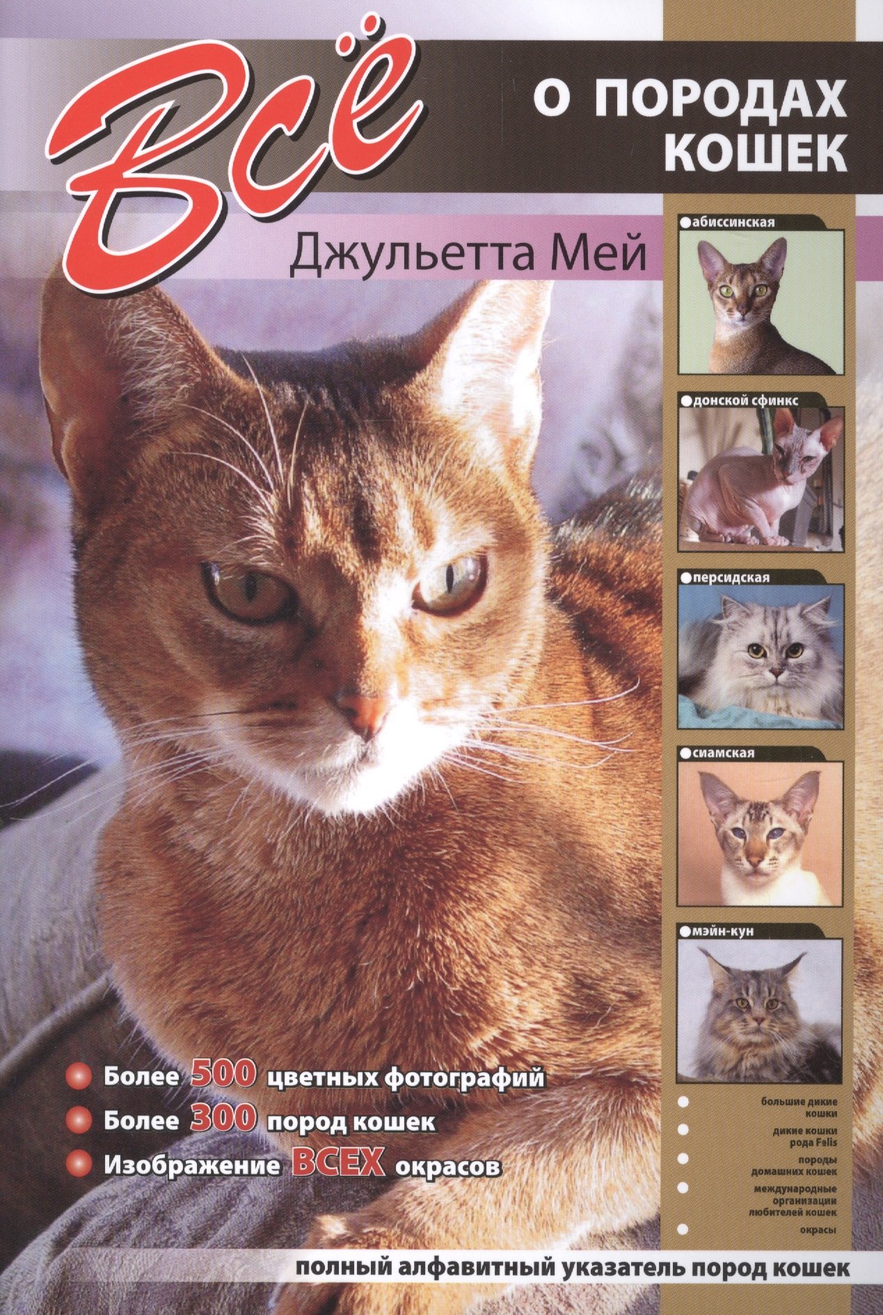 

Все о породах кошек