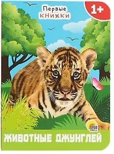 Животные джунглей