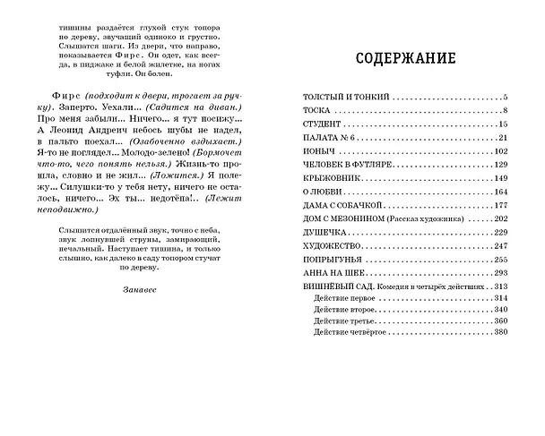 Книга Вишнёвый сад. Рассказы (Антон Чехов) — 16