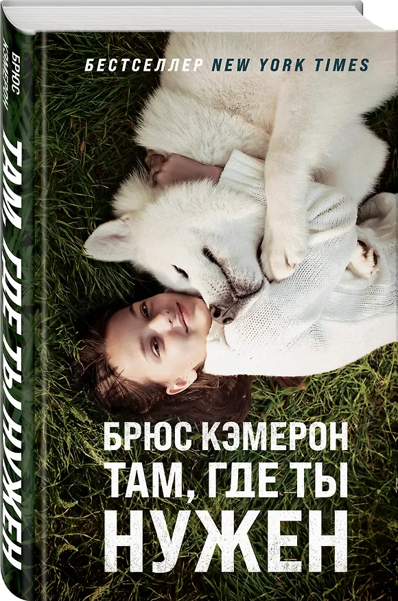Книга Там, где ты нужен (Брюс Кэмерон) — 4