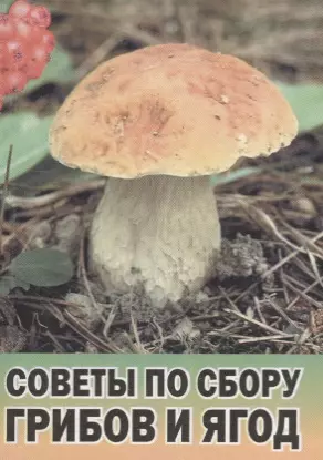 Советы по сбору грибов и ягод — 2650686 — 1