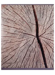 Тетрадь в клетку Unnika, "Текстуры", 48 листов, в ассортименте