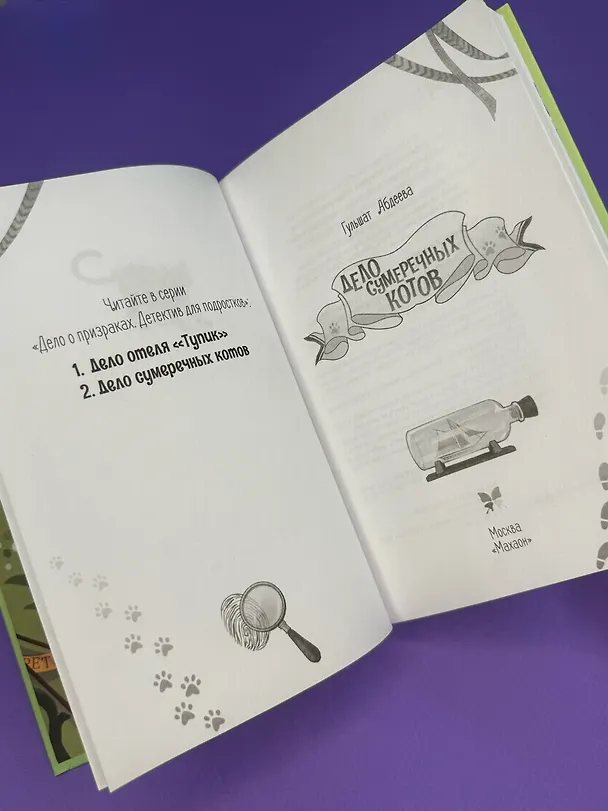 Книга Дело сумеречных котов (Гульшат Абдеева) — 13