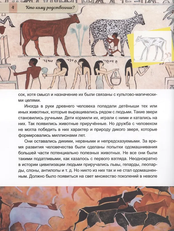Книга Животные от диких к домашним (Василий Климов) — 4