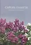 Сирень памяти. 100 сортов "Русской сирени" — 2812730 — 1