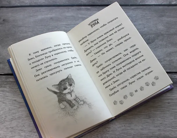 Книга Застенчивая Луна (Линда Чапмен) — 10