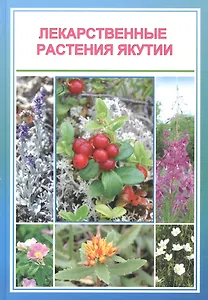 Лекарственные растения Якутии