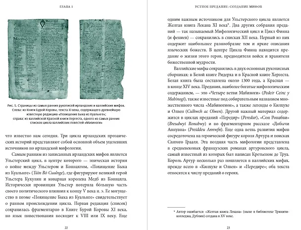 Книга Кельтские мифы. От короля Артура и Дейрдре до фейри и друидов (Миранда Олдхаус-Грин) — 20