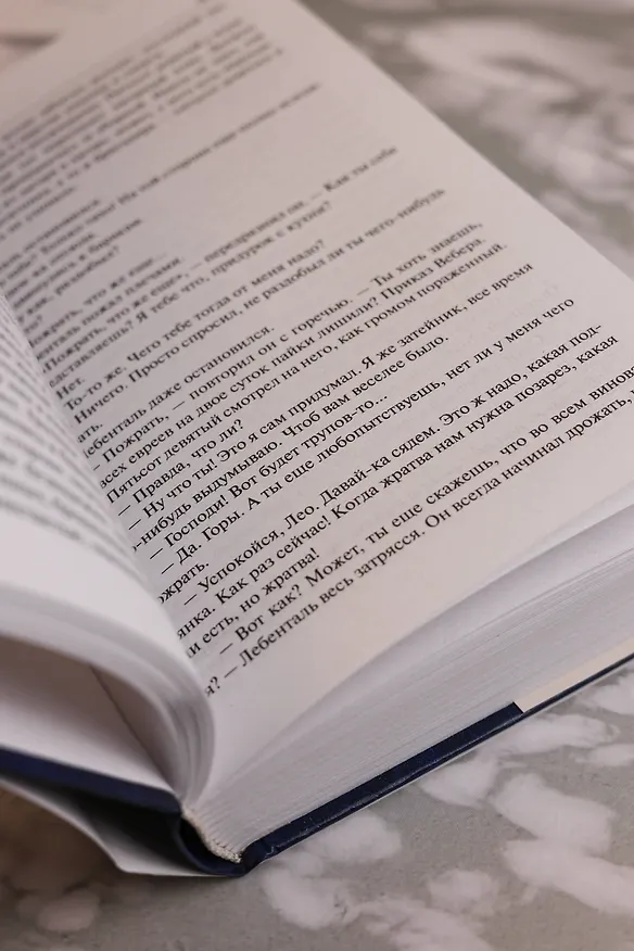 Книга Искра жизни (Эрих Мария Ремарк) — 13