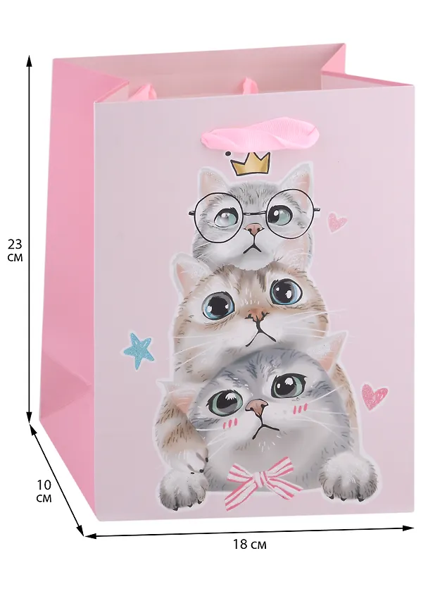 Пакет А5 23*18*10 "Kittens on party" жен., бум.мат.ламинат  2950376 — 2