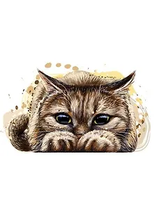 Холст с красками по номерам 40х50см ТМ Рыжий кот Озорной котенок Х-8635