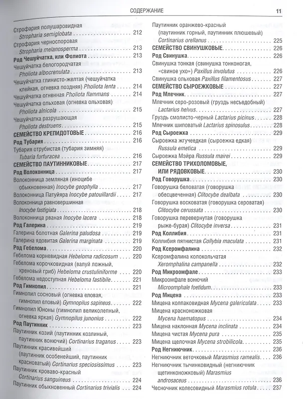 Книга Грибы Полная илл. энциклопедия Более 400 видов грибов... (Куреннов) () — 13