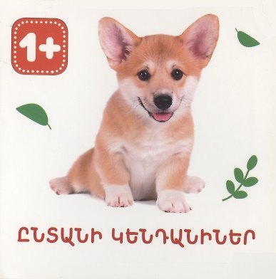 Книга Домашние животные (на армянском языке) () — 1