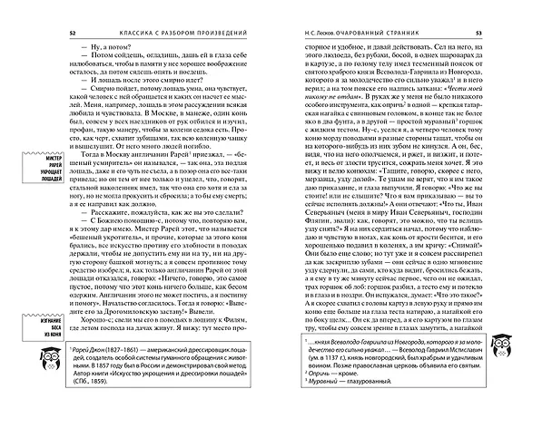 Книга Левша. Очарованный странник (Николай Лесков) — 13