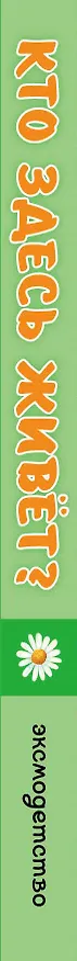 Книга Загляни в окошко! Кто здесь живет? () — 3