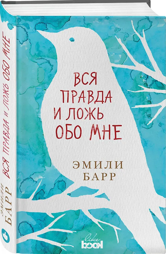 Книга Вся правда и ложь обо мне (Эмили Барр) — 4