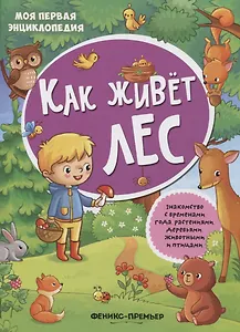 Как живет лес: книжка с наклейками