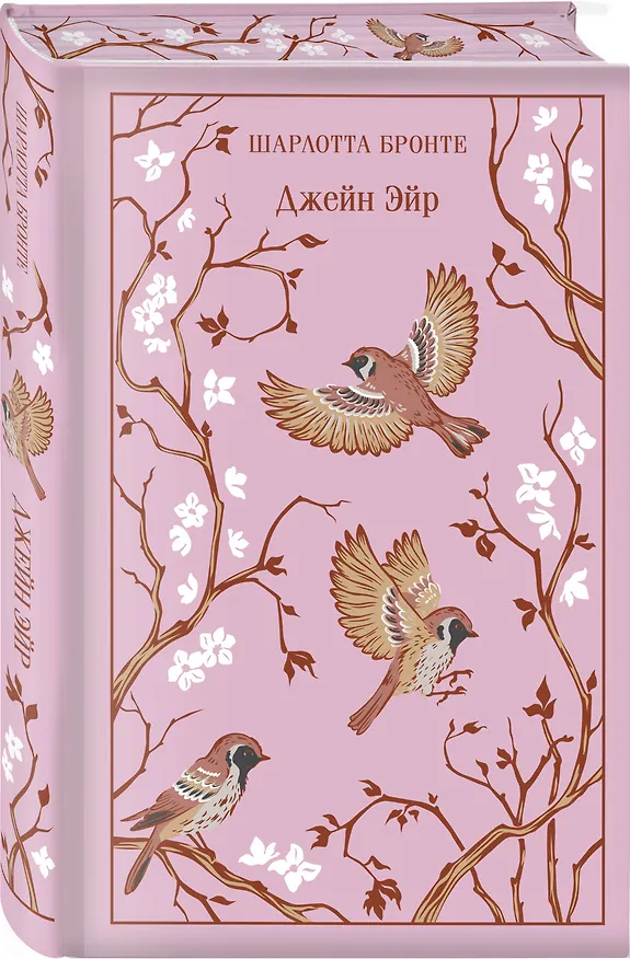 Книга Набор классика о женщинах (комплект из 3 книг: Гордость и предубеждение, Джейн Эйр, Маленькие женщины) (Луиза Мэй Олкотт, Джейн Остен, Шарлотта Бронте) — 6