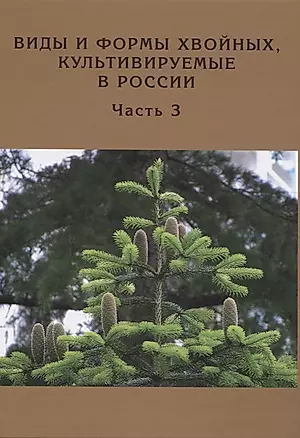 Виды и формы хвойных, культивируемые в России. Часть 3. — 2833538 — 1