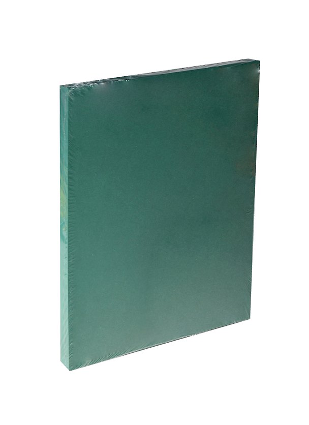 Бумага для пастели А4 "Iris Vivaldi" 240гр/м2, №31 темно-зеленый, Canson 231423 — 1