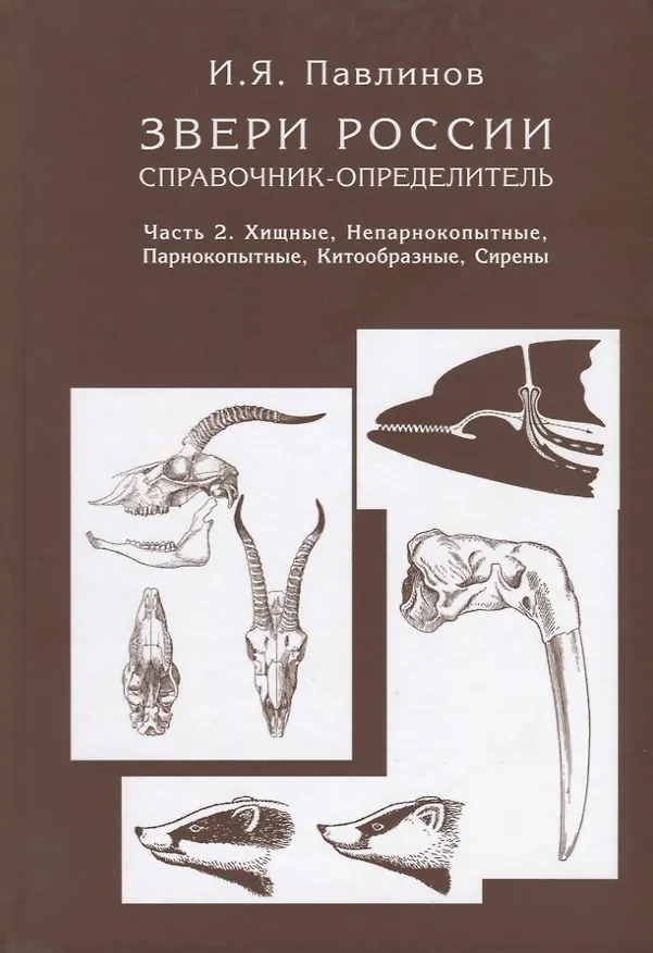 Книга Звери России. Справочник-определитель. Книга в двух частях. Часть 2. Хищные, Непарнокопытные, Парнокопытные, Китообразные, Сирены (комплект из 2 книг) () — 2