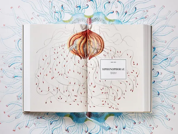 Книга The Art and Science of Ernst Haeckel (Джонатан Восс) — 2