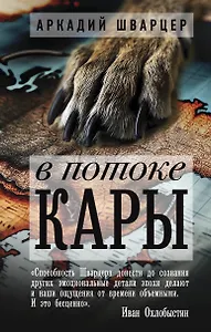 В потоке Кары