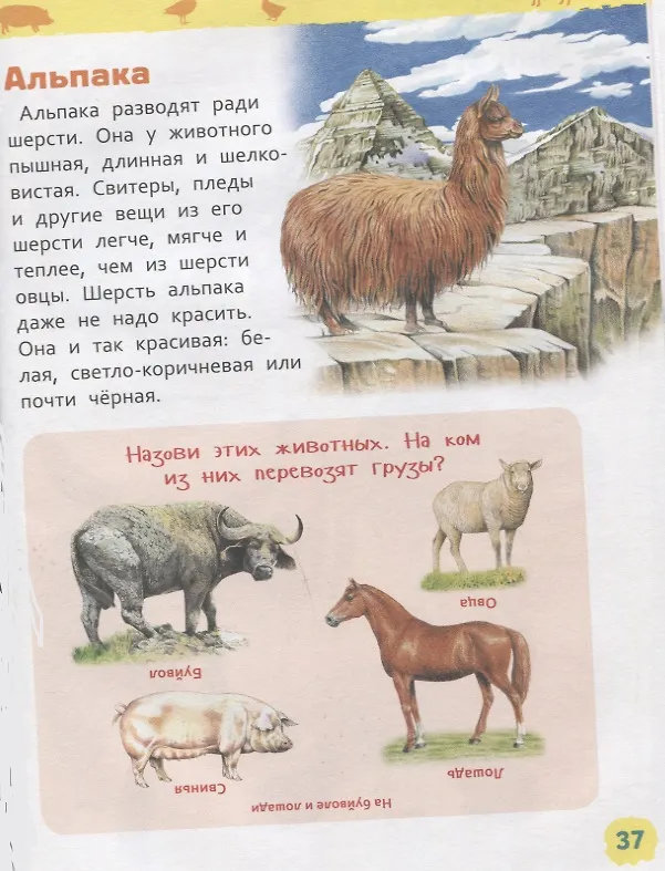 Книга Животные фермы. Энциклопедия для детского сада (Ирина Травина) — 5