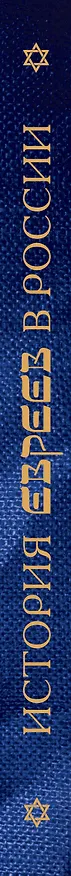 Книга История евреев в России (Алина Ребель) — 3