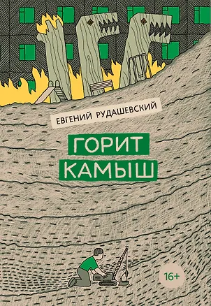 Книга Горит камыш (Евгений Рудашевский)