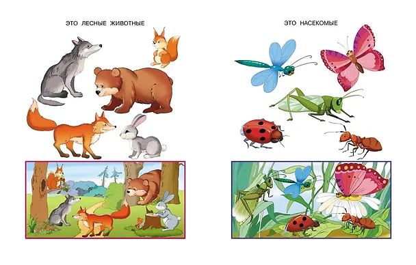 Книга Что нас окружает (2-3 года) (Ольга Земцова) — 7