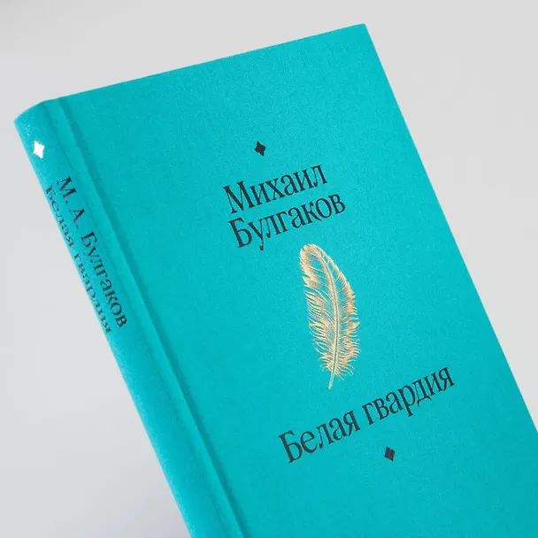 Книга Белая гвардия (Михаил Булгаков) — 17