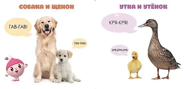 Книга Малышарики. Курс раннего развития 1+. Кто как маму зовёт? () — 2