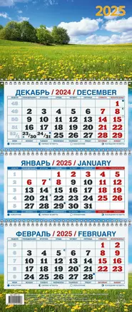 Календарь квартальный 2025г 195*465 "РОДНЫЕ ПРОСТОРЫ" настенный, трёхблочный, спираль — 3053961 — 1