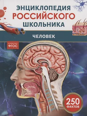 Книга Человек. 250 фактов. Энциклопедия российского школьника ()