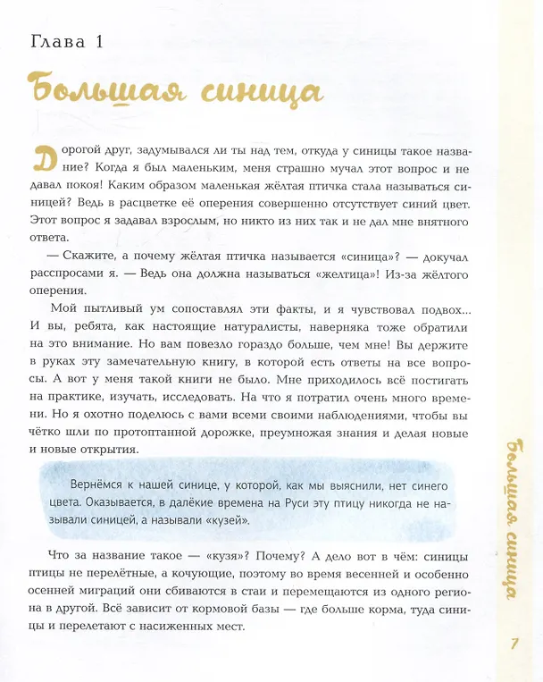 Книга Синицы (Виталий Симуткин) — 3