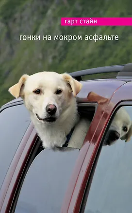 Книга Гонки на мокром асфальте (Гарт Стайн)