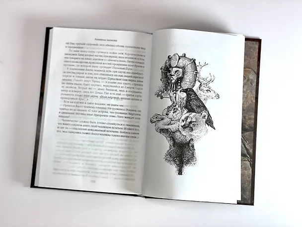 Книга Разбитая наковальня (Данила Ромах) — 19