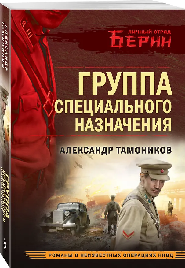 Книга Группа специального назначения (Александр Тамоников) — 4