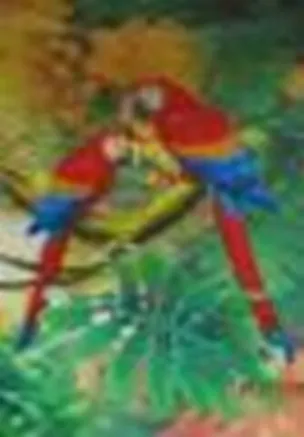 3D постер Попугаи Ара (3D PS 13) 2292780