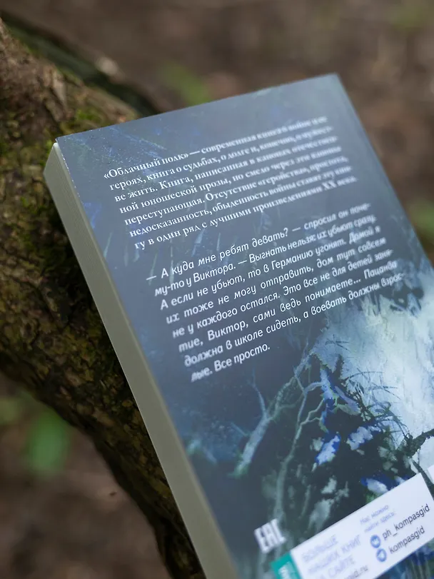 Книга Облачный полк (Эдуард Веркин) — 7