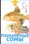 

Панцирные сомы