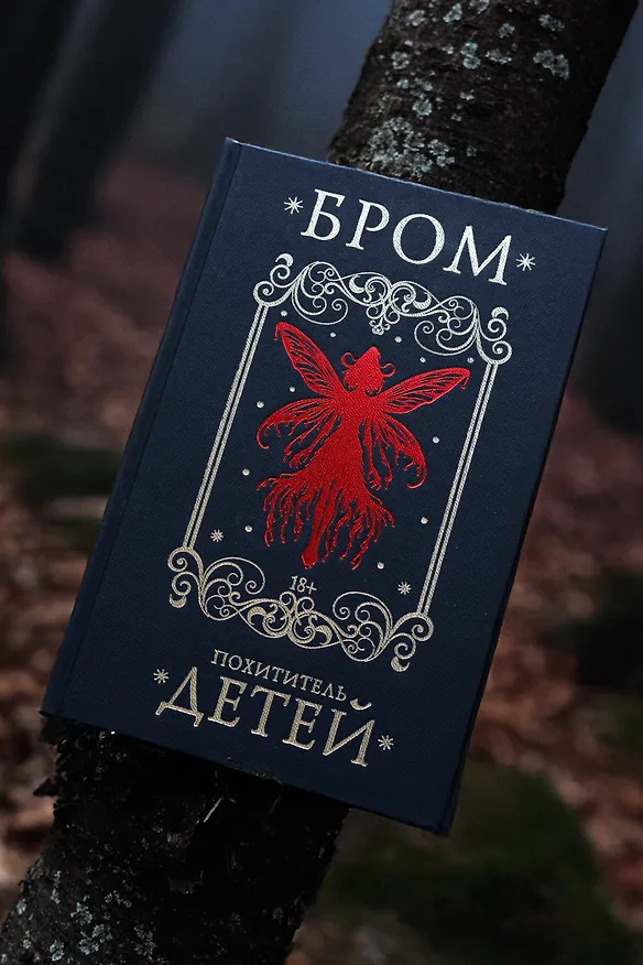 Книга Похититель детей (Джеральд Бром) — 11