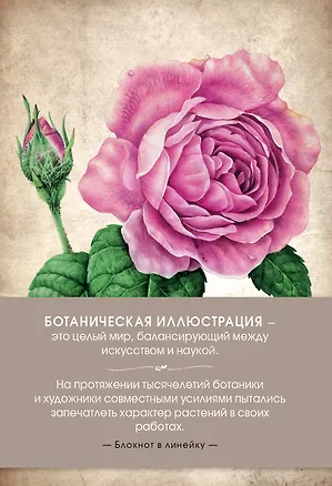 Блокнот. Ботаническая иллюстрация (розовый) 356845